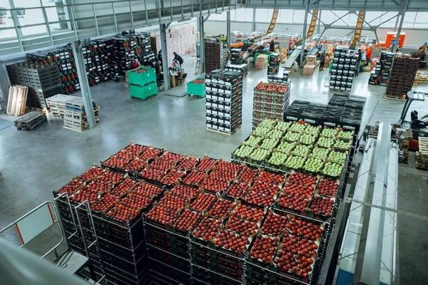 Sourcing from Moldova for Europe | Fresh Produce & Private Label